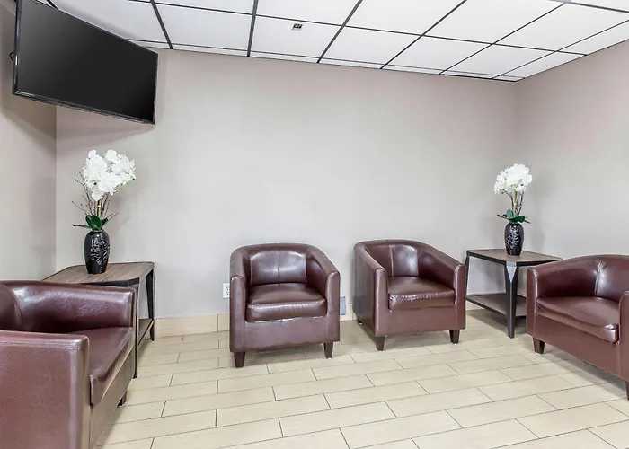Motel: Econo Lodge Savannah Midtown